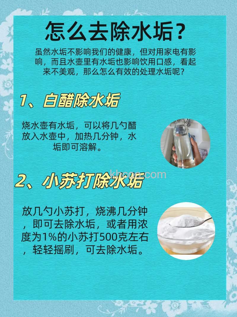 白醋去除水垢可以吗 电水壶保养小技巧【详解】