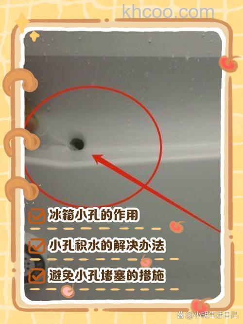 冰箱出水孔的排水去哪了 冰箱出水孔的排水去向【详解】