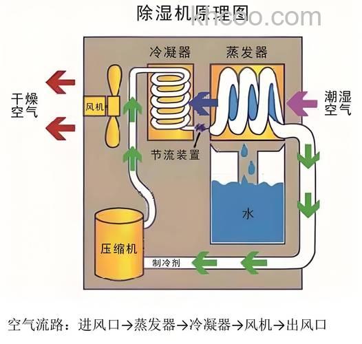 除湿器的工作原理是什么 除湿器原理介绍【详解】