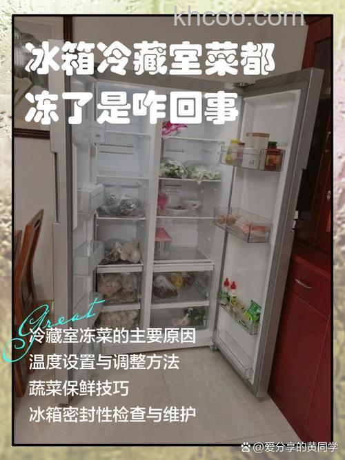 冰箱冷藏室的菜冻了是什么原因 冰箱冷藏室的菜冻了原因分析【详解】