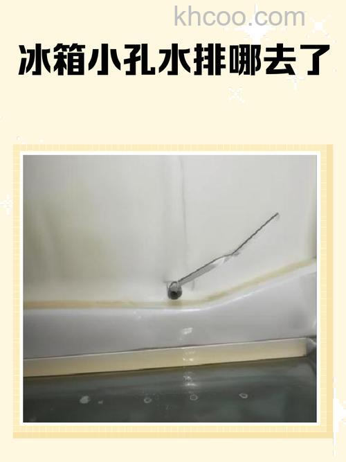 冰箱冷藏室冷凝水排到哪里 冰箱冷藏室冷凝水排处的位置和原因【详解】