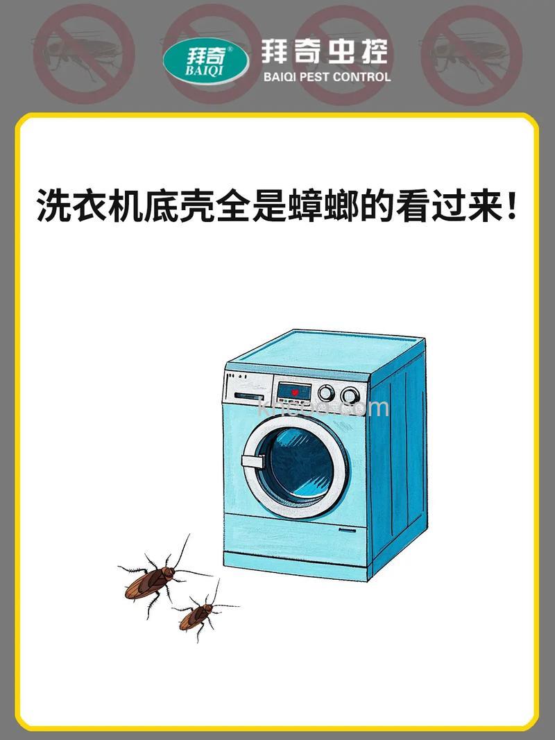 出现蟑螂的洗衣机还能用吗 解决洗衣机内的蟑螂方法【详解】