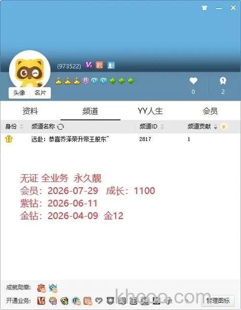 网页YY最多可以开几个号