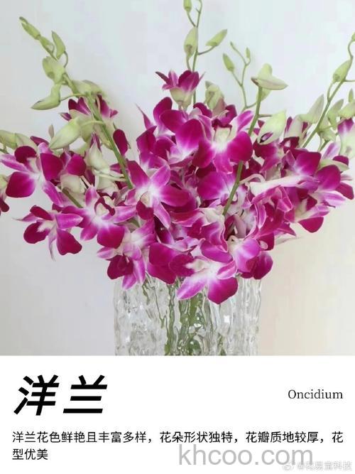 歪歪的鲜花是什么