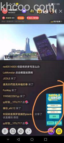 歪歪的投票有几种形式