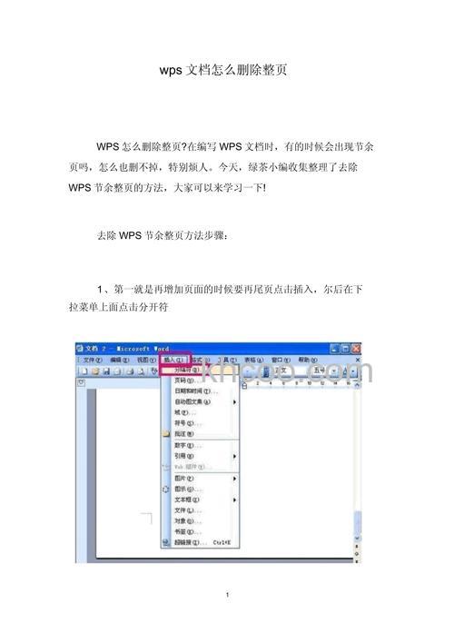 WPS里面怎么删除多余文档页 WPS删除多余文档页