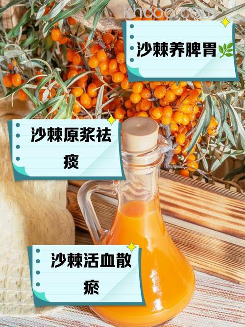 沙棘榨汁机好不好 沙棘榨汁机优势特点【详解】