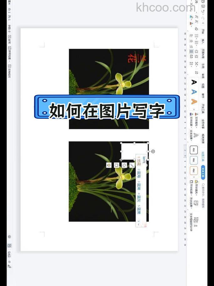 WPS怎么在图片中插入文字 WPS在图片中插入文字的方法