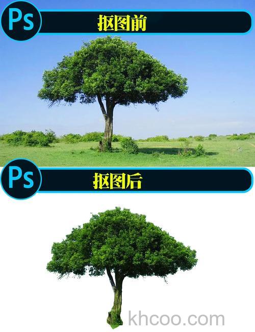 PS怎么将黄色树木制作成绿色树木 PS将黄色树木制作成绿色树木方法【详解】