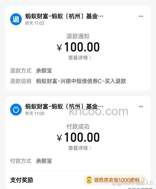 支付宝PPS扣款的币种是什么