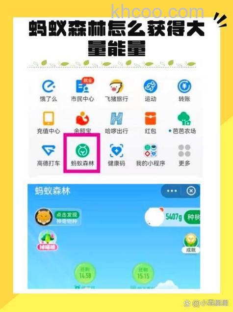 怎么开启支付宝蚂蚁森林能量雨 支付宝蚂蚁森林开启能量雨教程【详解】