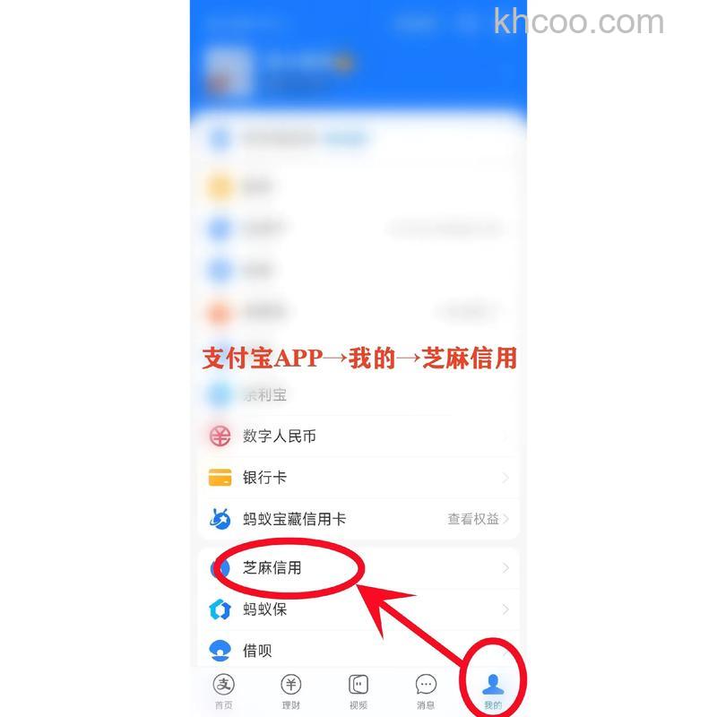 怎么使用支付宝芝麻GO卡 支付宝芝麻GO卡使用方法【详解】