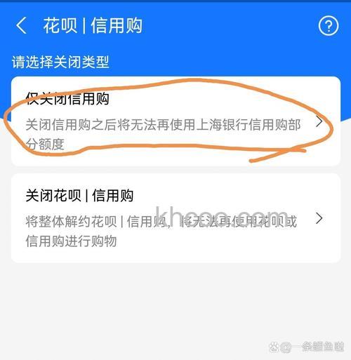 支付宝浦发B2B支付时还没有付款，如何撤消订单号