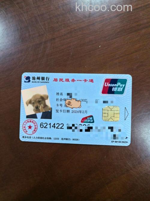 支付宝鄂尔多斯银行储蓄卡卡通是什么