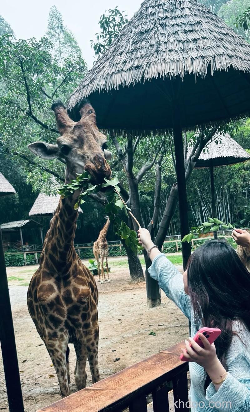 ps如何制作从电视里走出来的长颈鹿