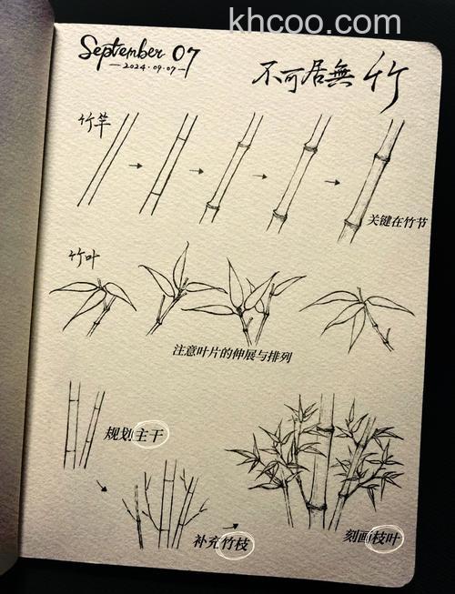 ps中怎么绘制竹节？ps绘制多个竹节的教程