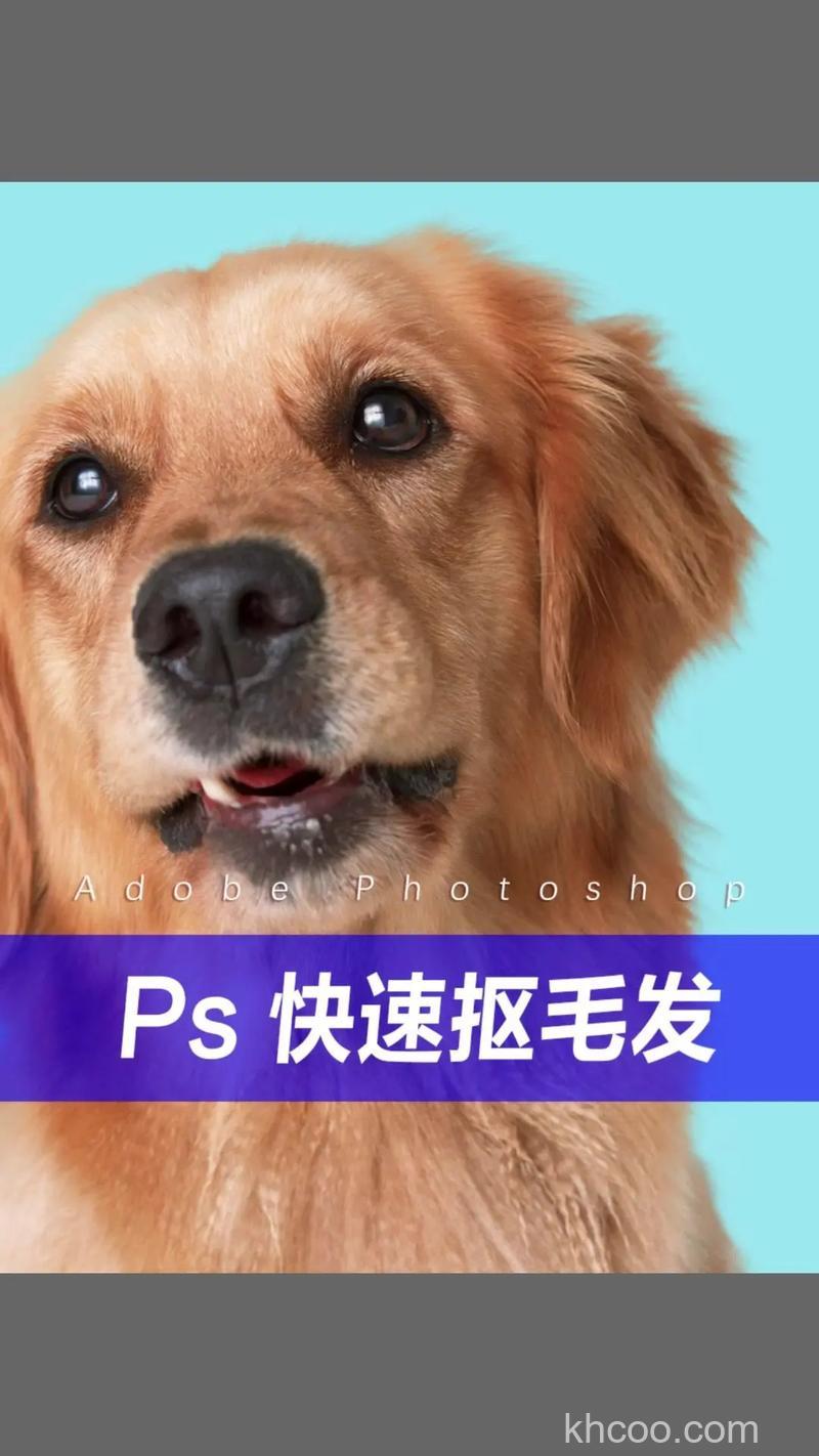 ps如何抠头发