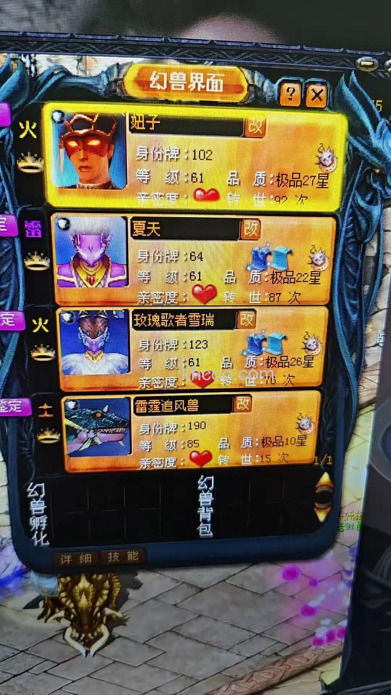 迅雷游戏中魔域宝宝亲密度去哪里看