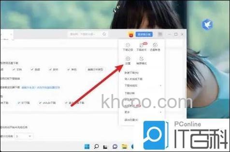 迅雷皮肤主题的更多设置是什么