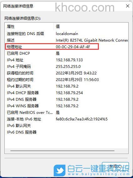 win11mac地址在哪里 win11mac地址查看方法【详细教程】