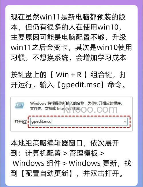 win11怎么禁止自动更新 win11禁止自动更新方法【详解】