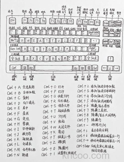 windows11怎么回到桌面 windows11回到桌面快捷键介绍【详解】