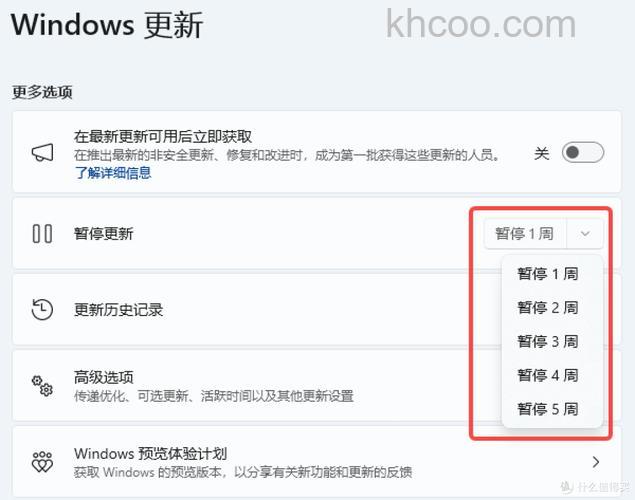 windows11怎么不更新系统 windows11不更新系统教程【详解】
